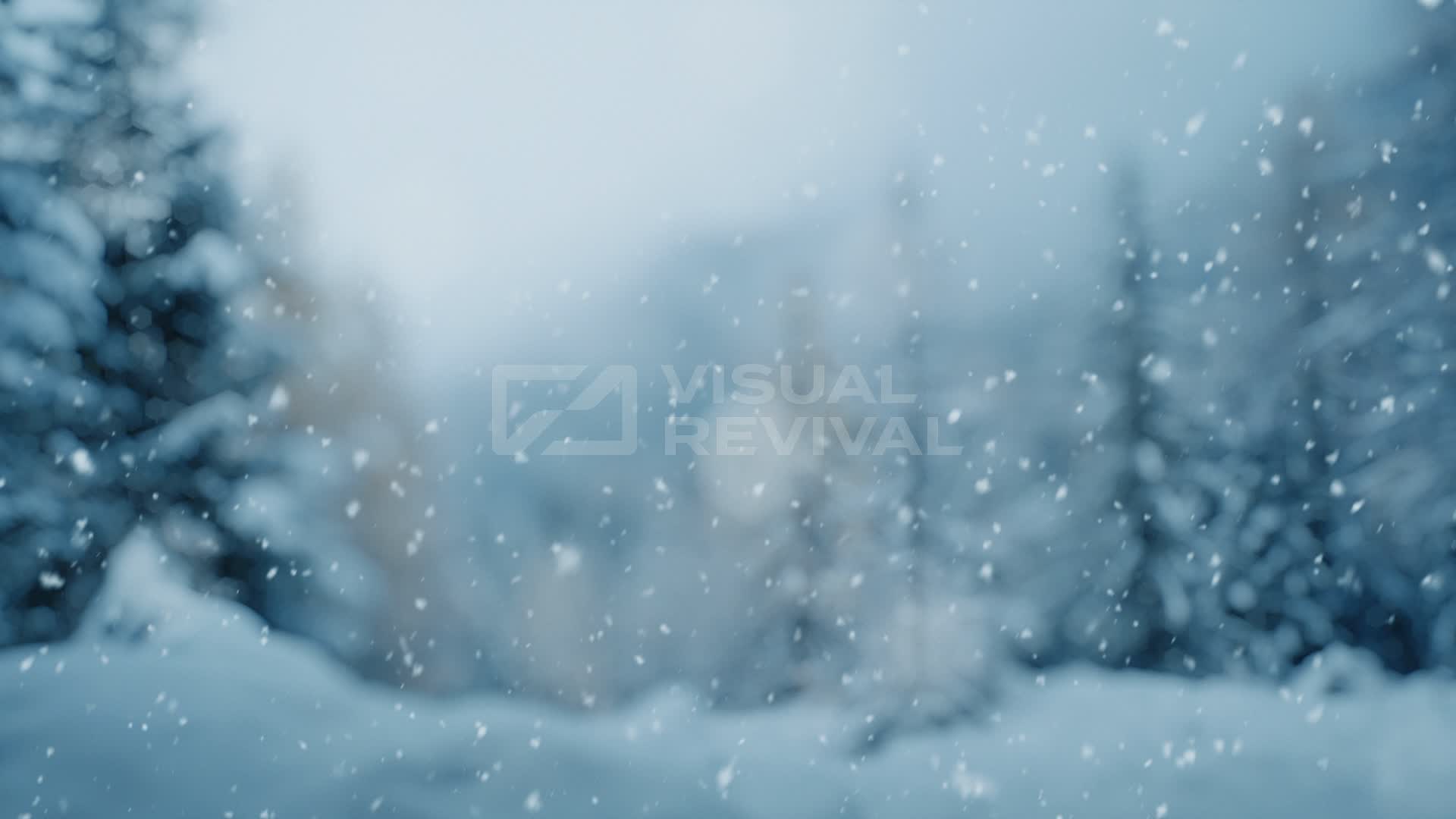Snow Still First Snow Still 10 | Visual Revival