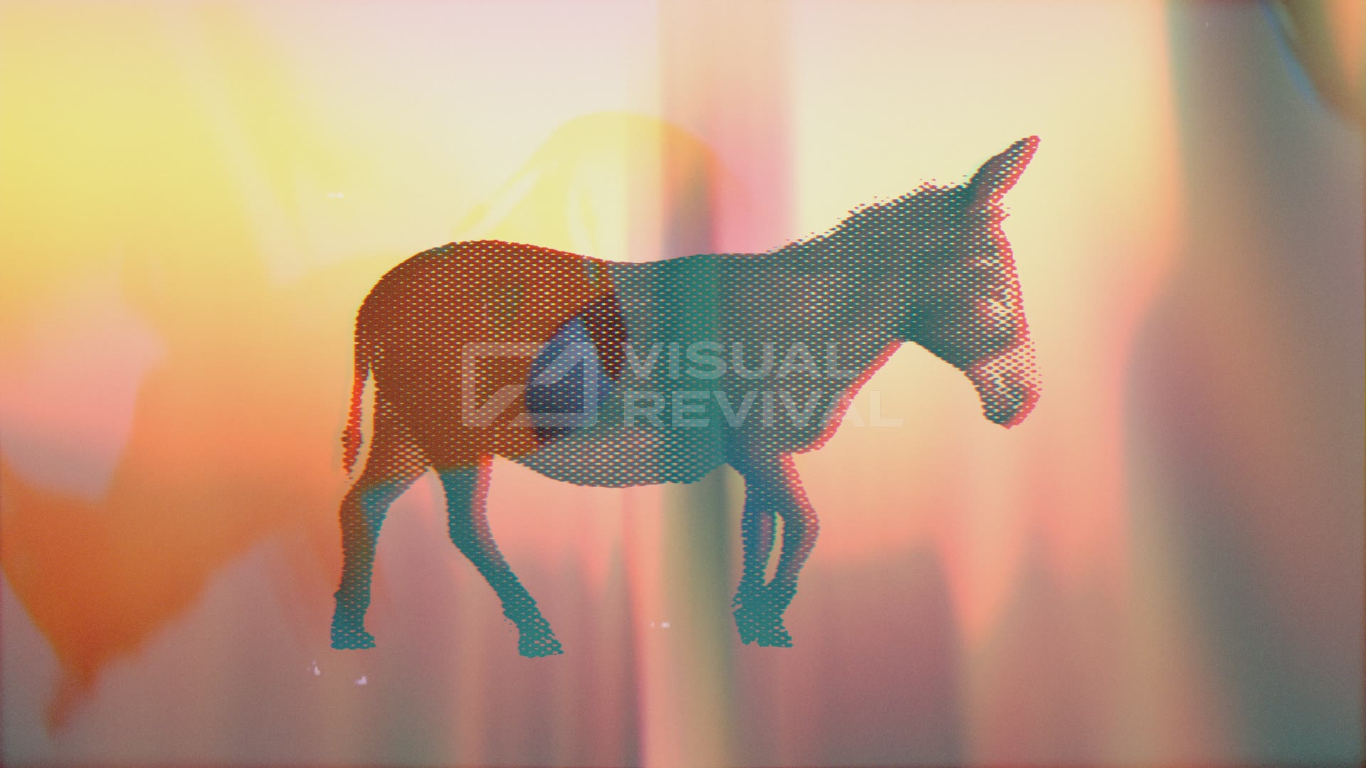 Bible Animals Still - Donkey | Visual Revival