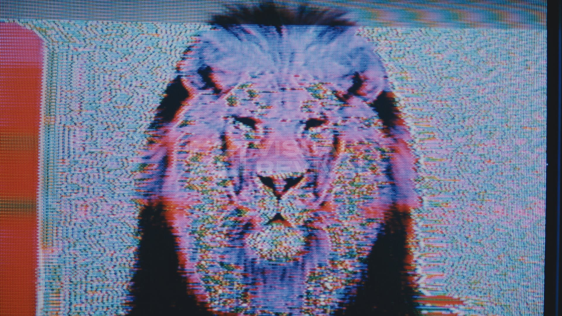 CRT Lion Still 06 | Visual Revival